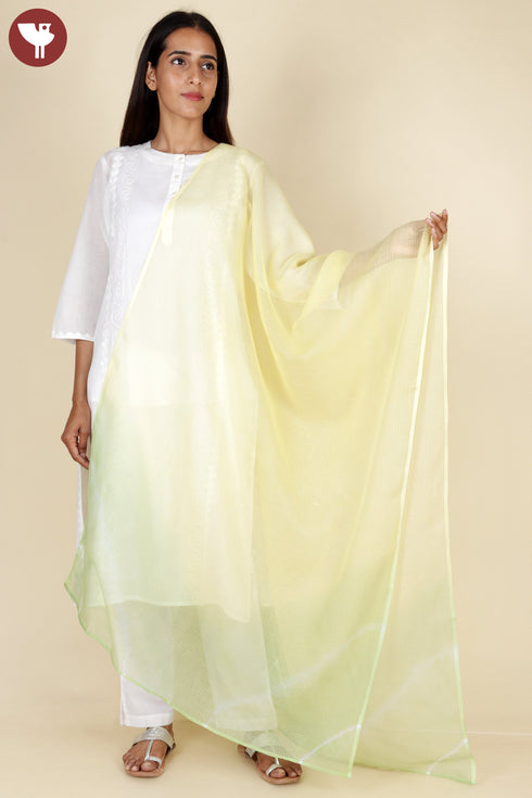 Kota Doria Dupatta