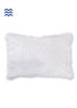 40’s CottonPillow Cover With Frills InIvory Block Print